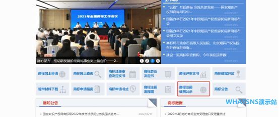 1657608812381875.jpg w1.jpg